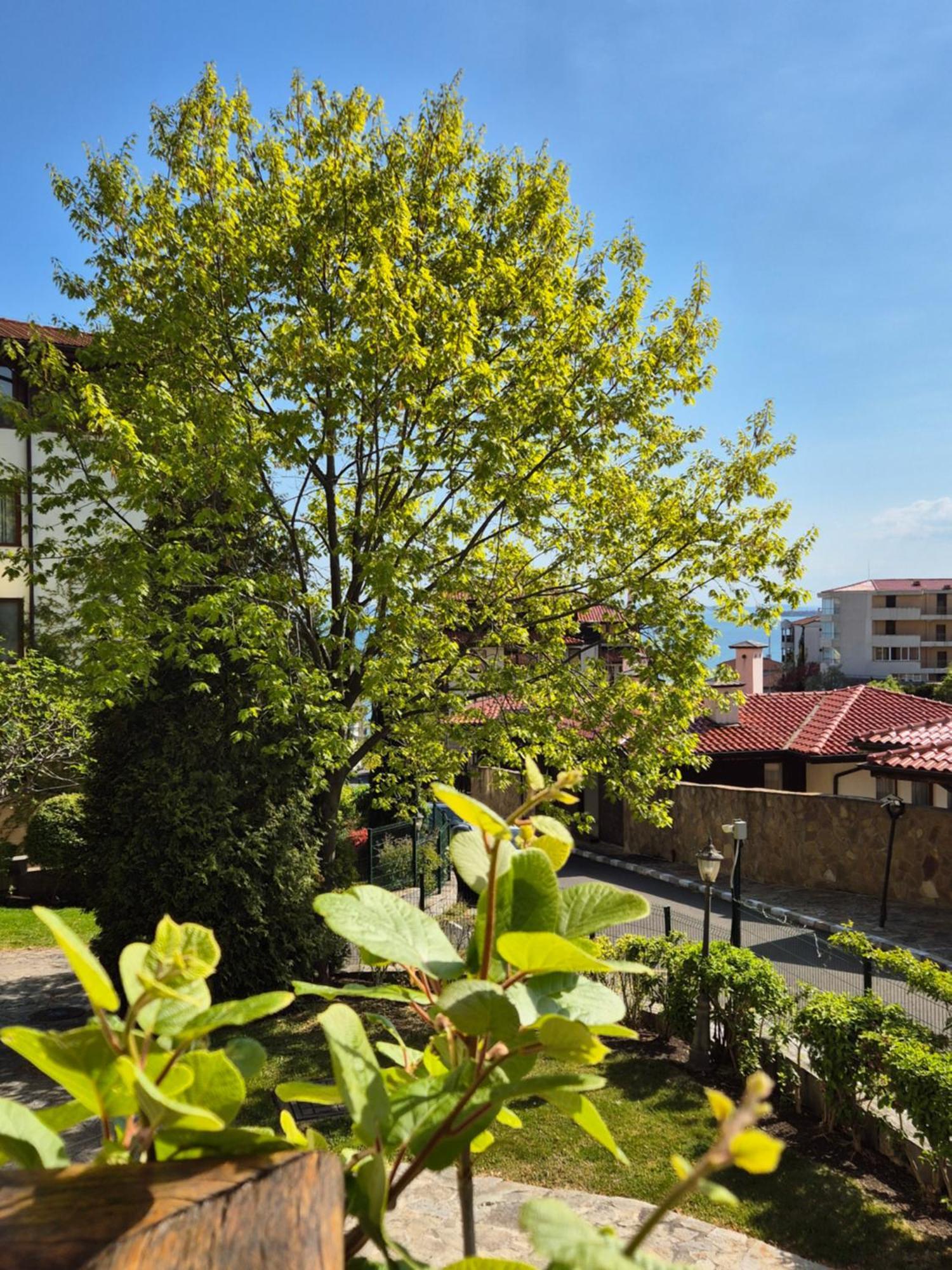 Апартамент Ния, Райска Градина / Garden Of Eden Sveti Vlas Bagian luar foto